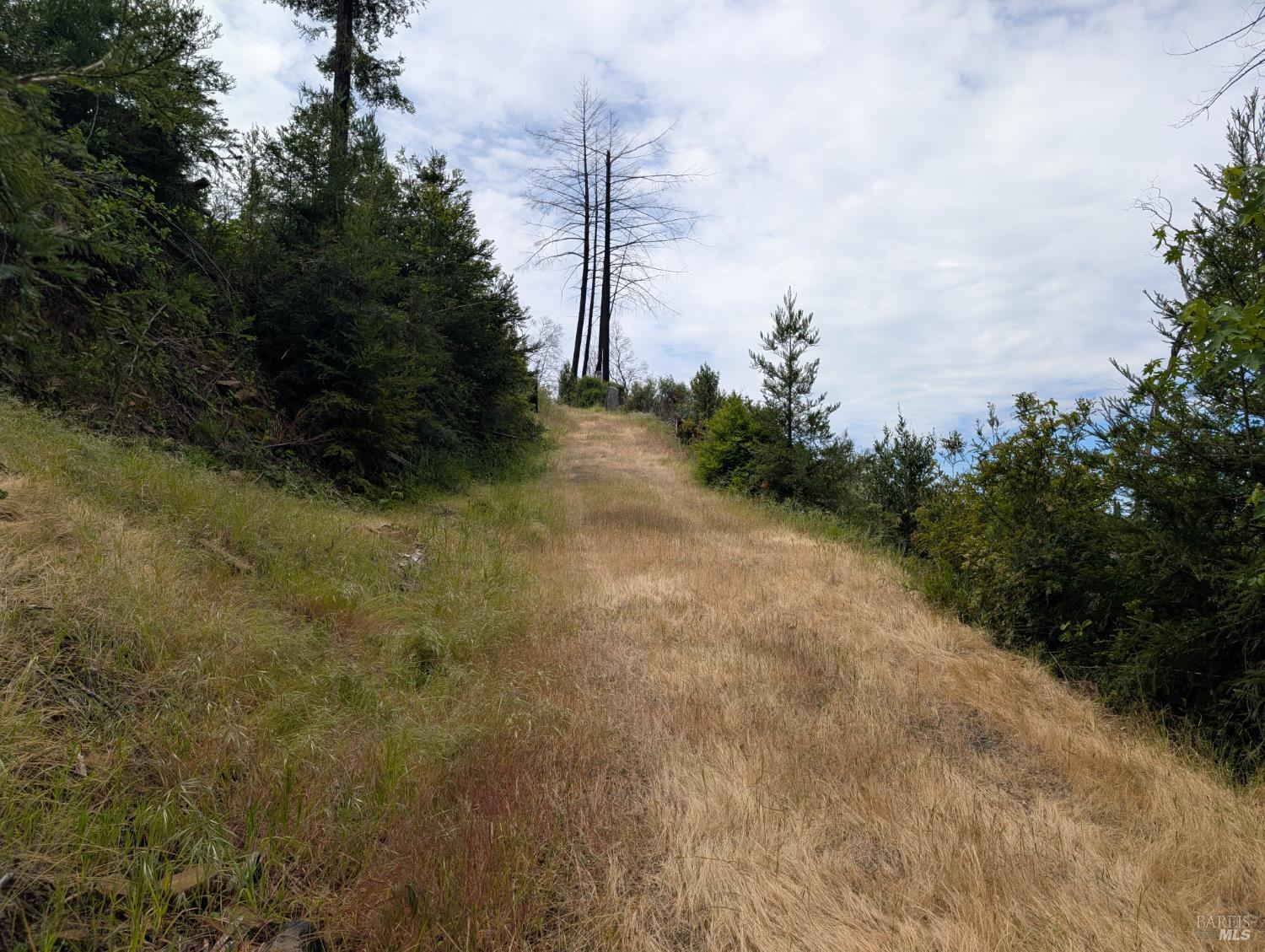 7580 St Helena Road Santa Rosa, CA 95404 - Photo 11 of 31 a view of a pathway with a yard