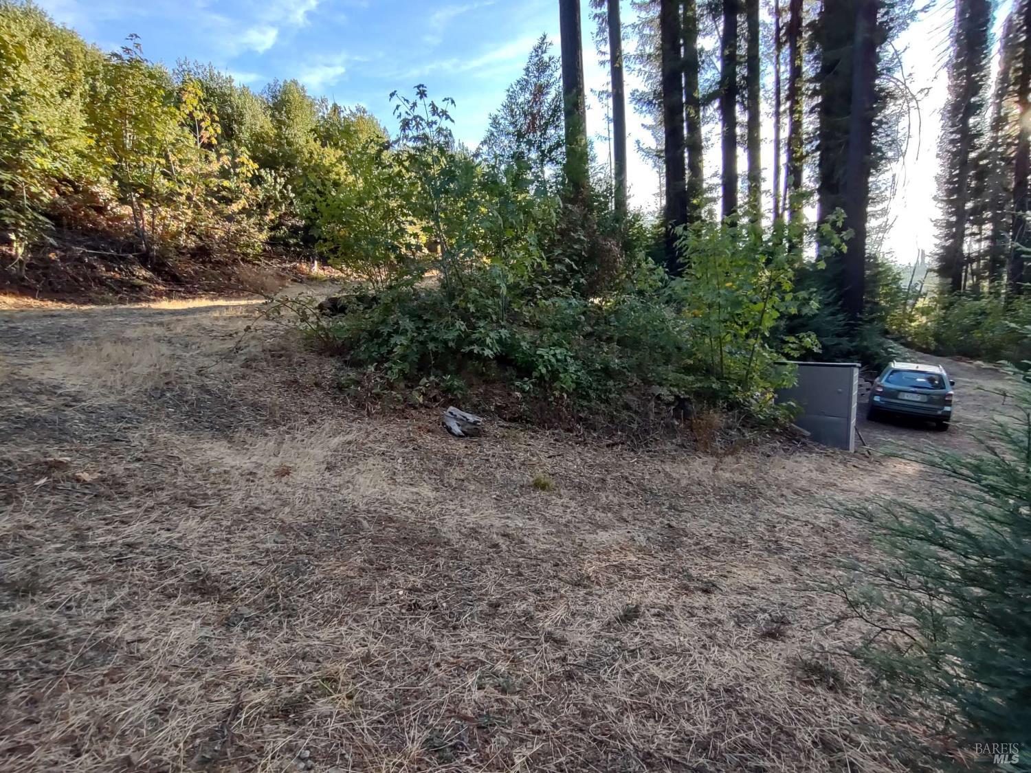 7580 St Helena Road Santa Rosa, CA 95404 - Photo 3 of 31 a view of a couches and trees in the background