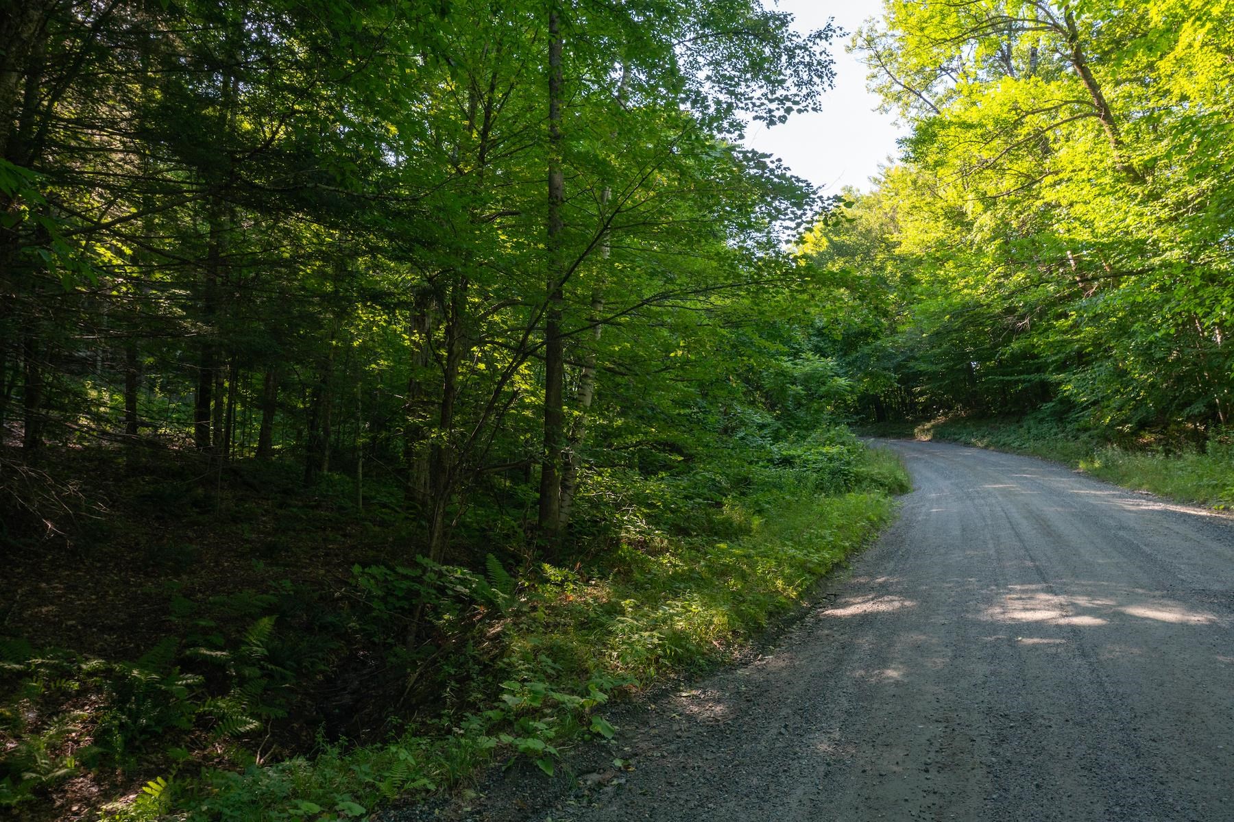13 Best Road Hartland, VT 05089 - Photo 1 of 20 Gallery Image 1