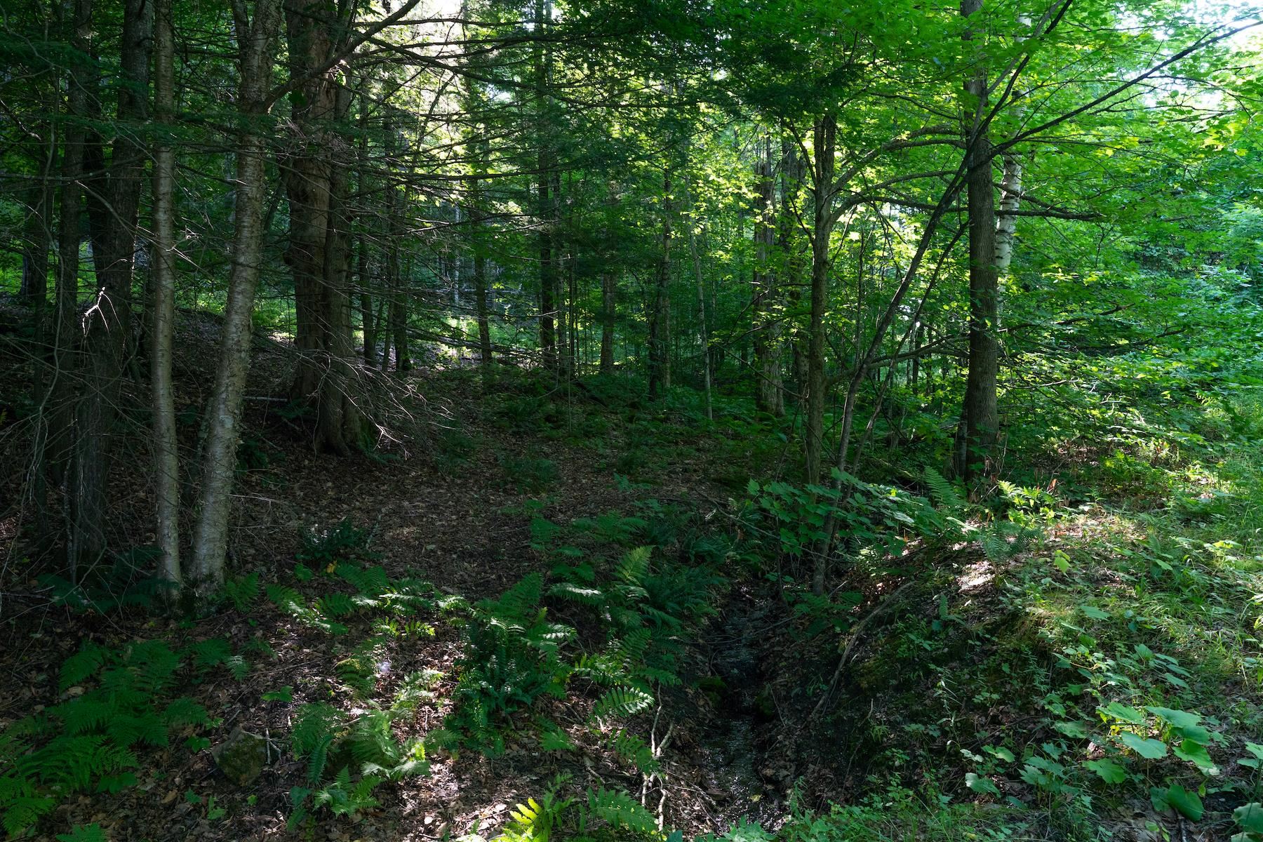 13 Best Road Hartland, VT 05089 - Photo 2 of 20 Gallery Image 2