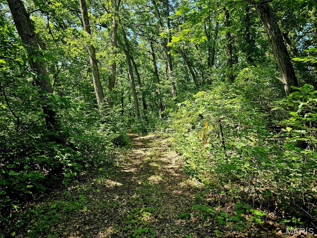 8-ac Walker Road Troy, MO 63379 - Photo 6 of 8