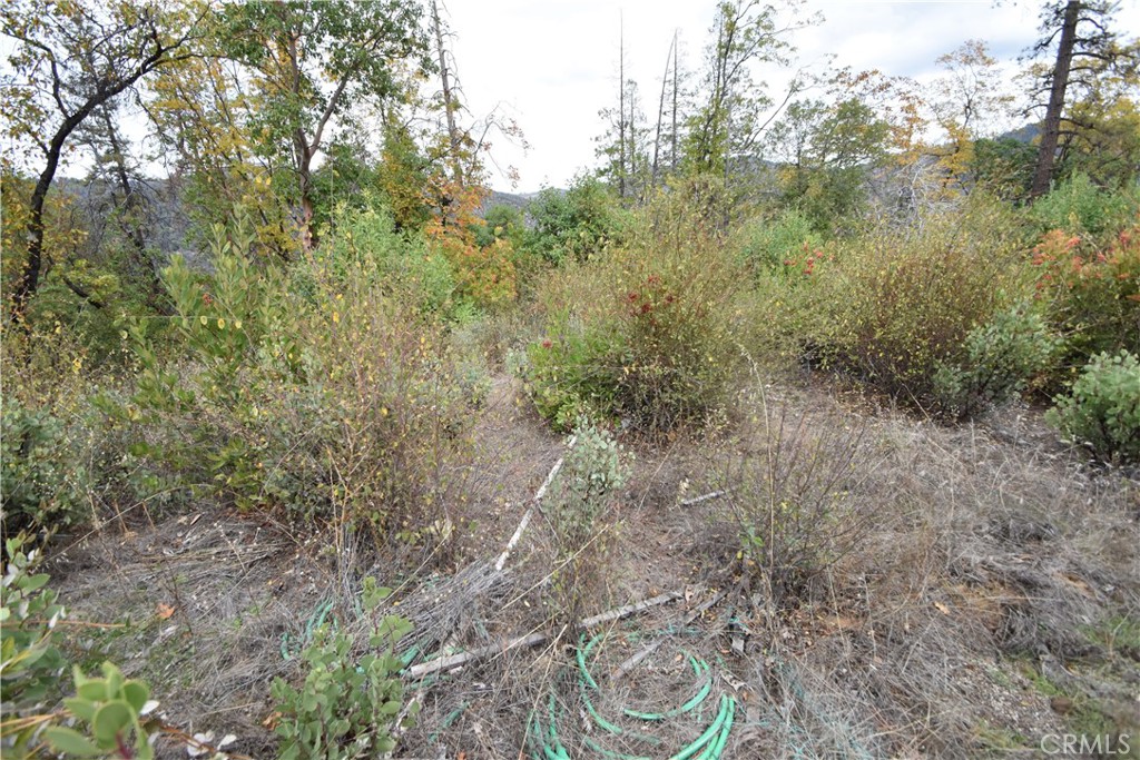 0 Broken Springs Road Oroville, CA 95966 - Photo 12 of 24