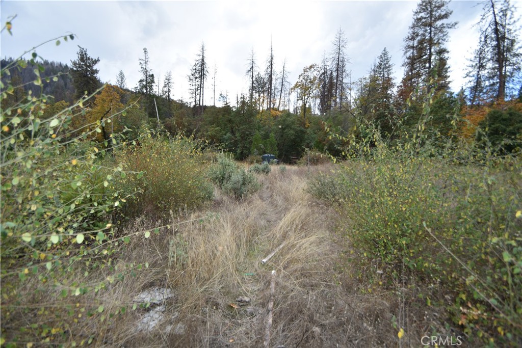 0 Broken Springs Road Oroville, CA 95966 - Photo 15 of 24