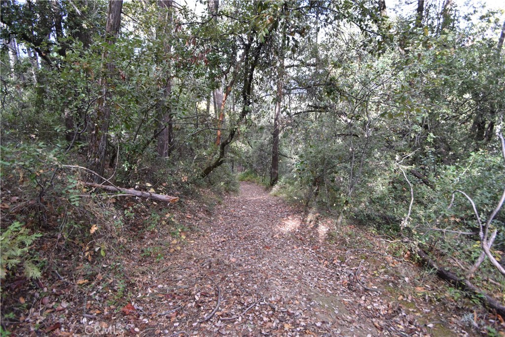 0 Broken Springs Road Oroville, CA 95966 - Photo 16 of 24