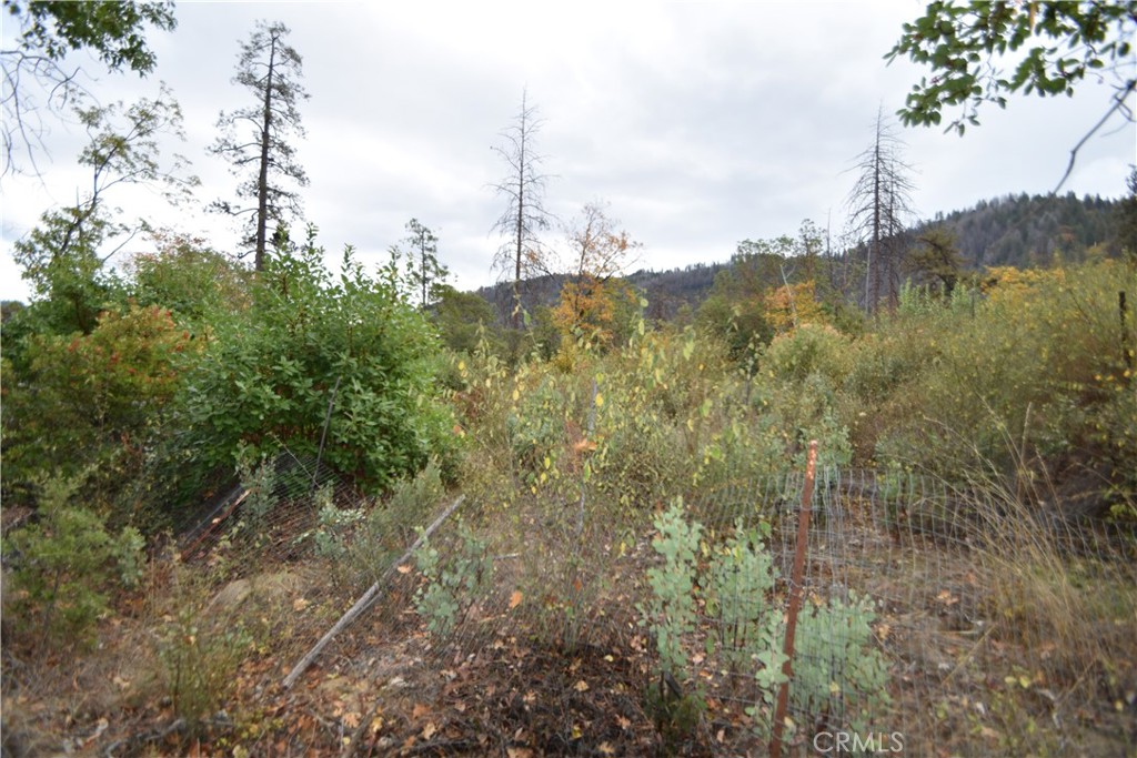 0 Broken Springs Road Oroville, CA 95966 - Photo 18 of 24