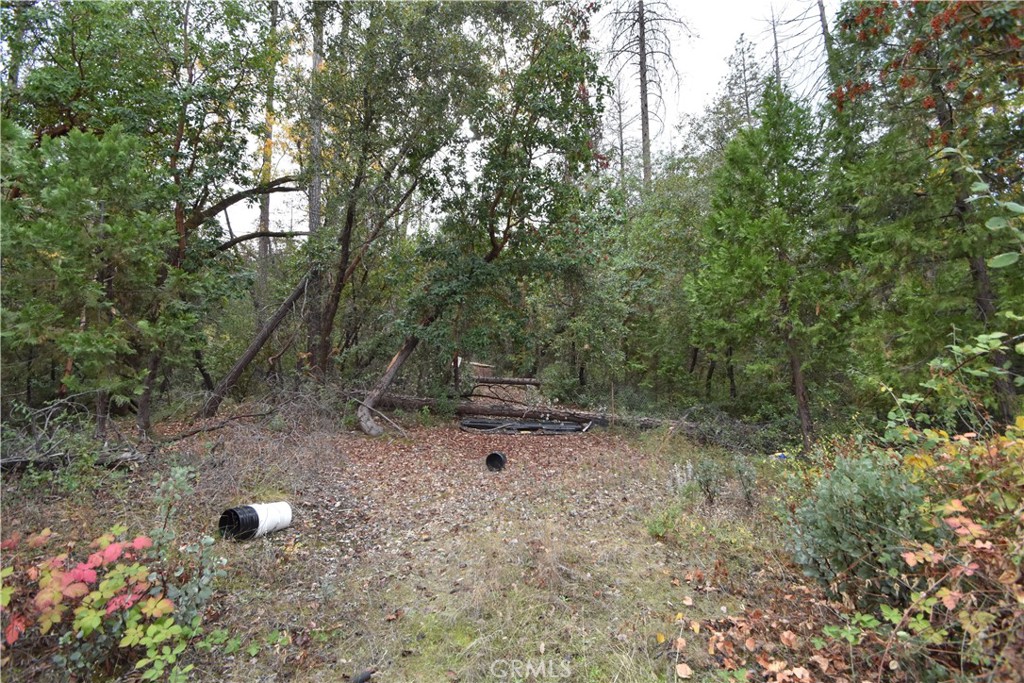 0 Broken Springs Road Oroville, CA 95966 - Photo 19 of 24