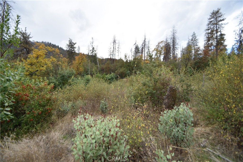 0 Broken Springs Road Oroville, CA 95966 - Photo 4 of 24