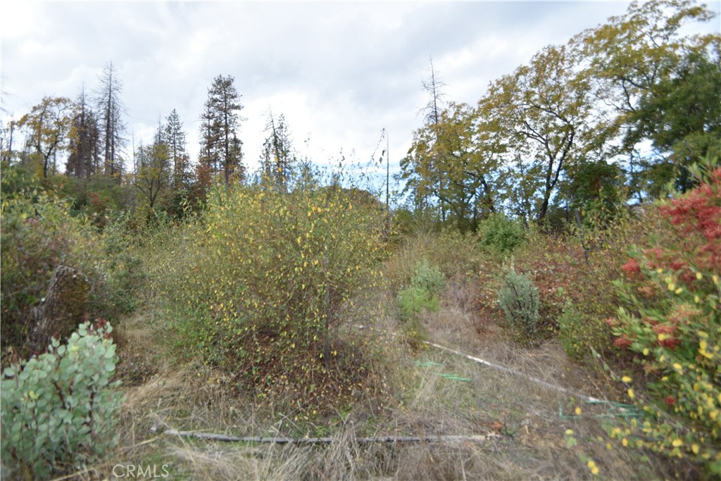 0 Broken Springs Road Oroville, CA 95966 - Photo 6 of 24