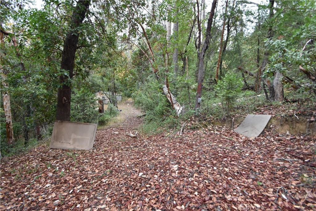 0 Broken Springs Road Oroville, CA 95966 - Photo 10 of 24