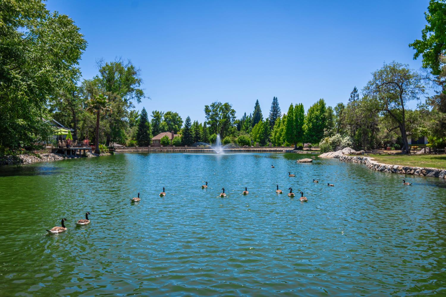 8498 East Hidden Lakes Drive Granite Bay, CA 95746 - Photo 69 of 82