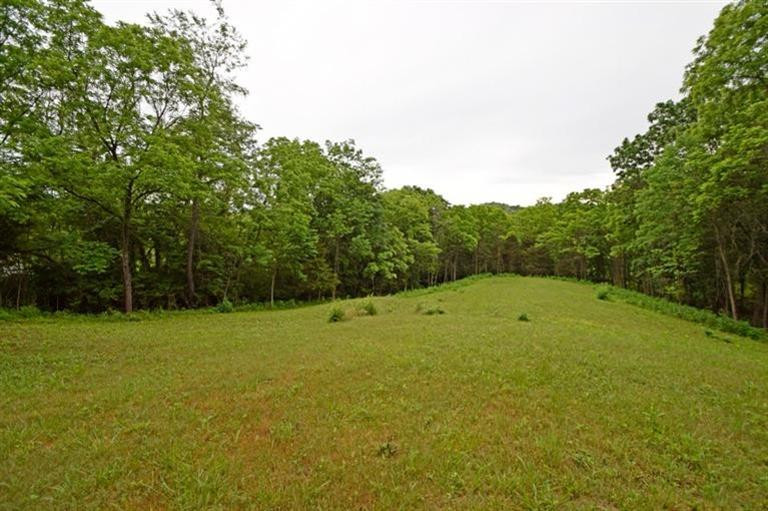 0 Fogg Road Sparta, KY 41086 - Photo 4 of 7 Gallery Image 4