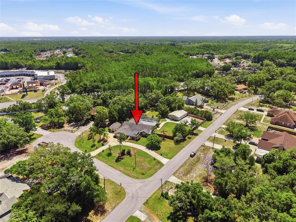 6910 Daubon Court New Port Richey, FL 34655 - Photo 65 of 68