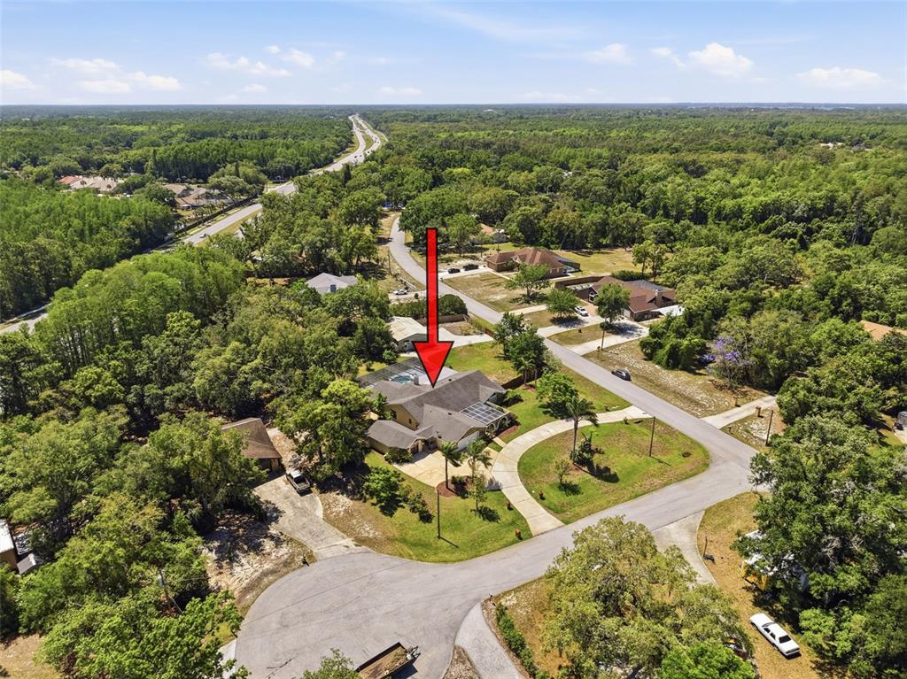 6910 Daubon Court New Port Richey, FL 34655 - Photo 66 of 68