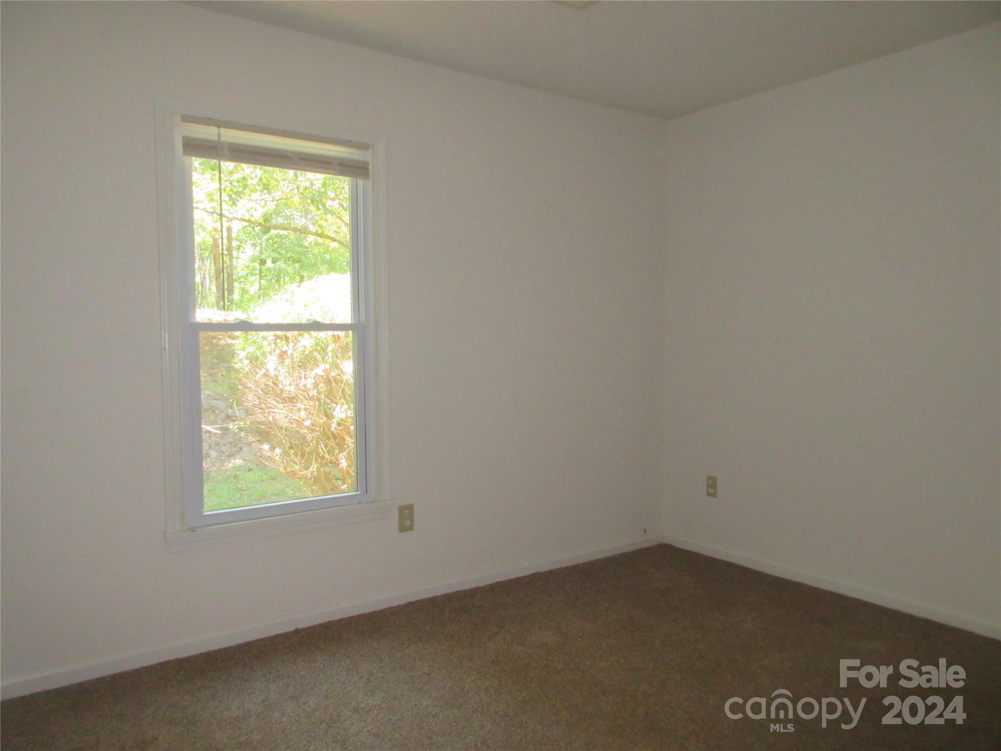 50 Hawkins Lane Mill Spring, NC 28756 - Photo 5 of 26 Gallery Image 5