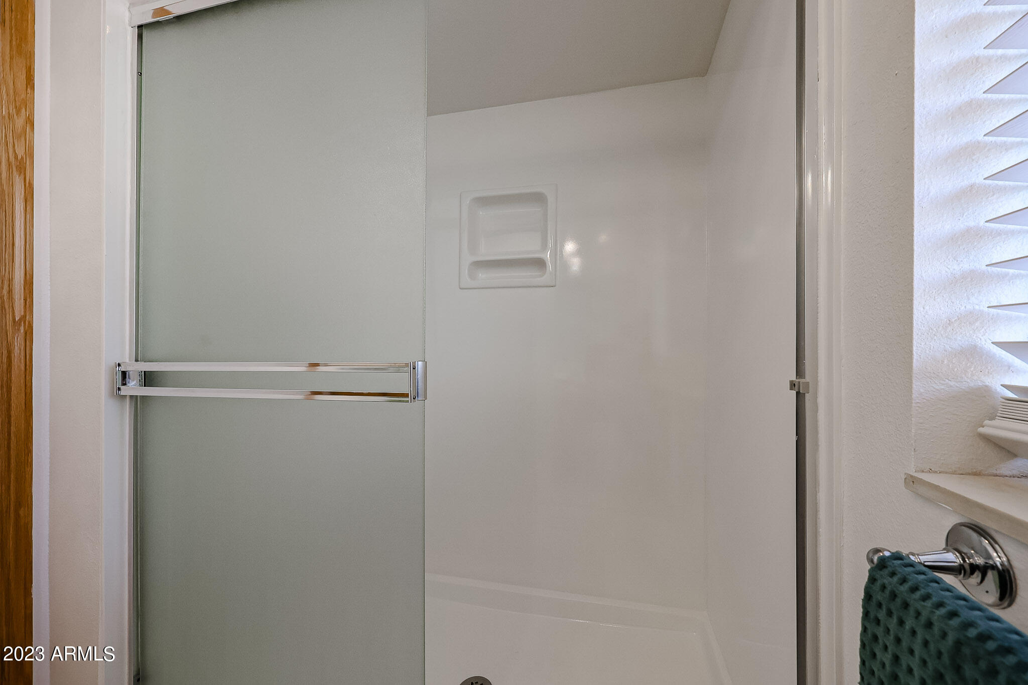 10838 West White Mountain Road Sun City, AZ 85351 - Photo 25 of 34 Guest Shower