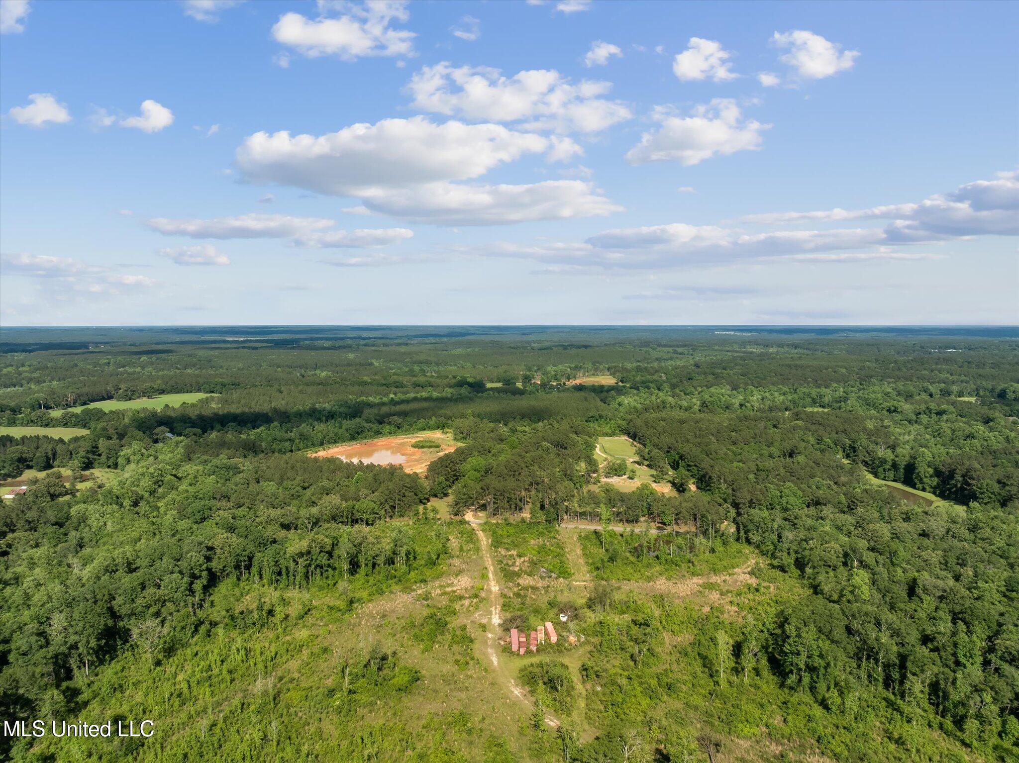 266 West P A Road North Moselle, MS 39459 - Photo 9 of 97 004-DJI_0037