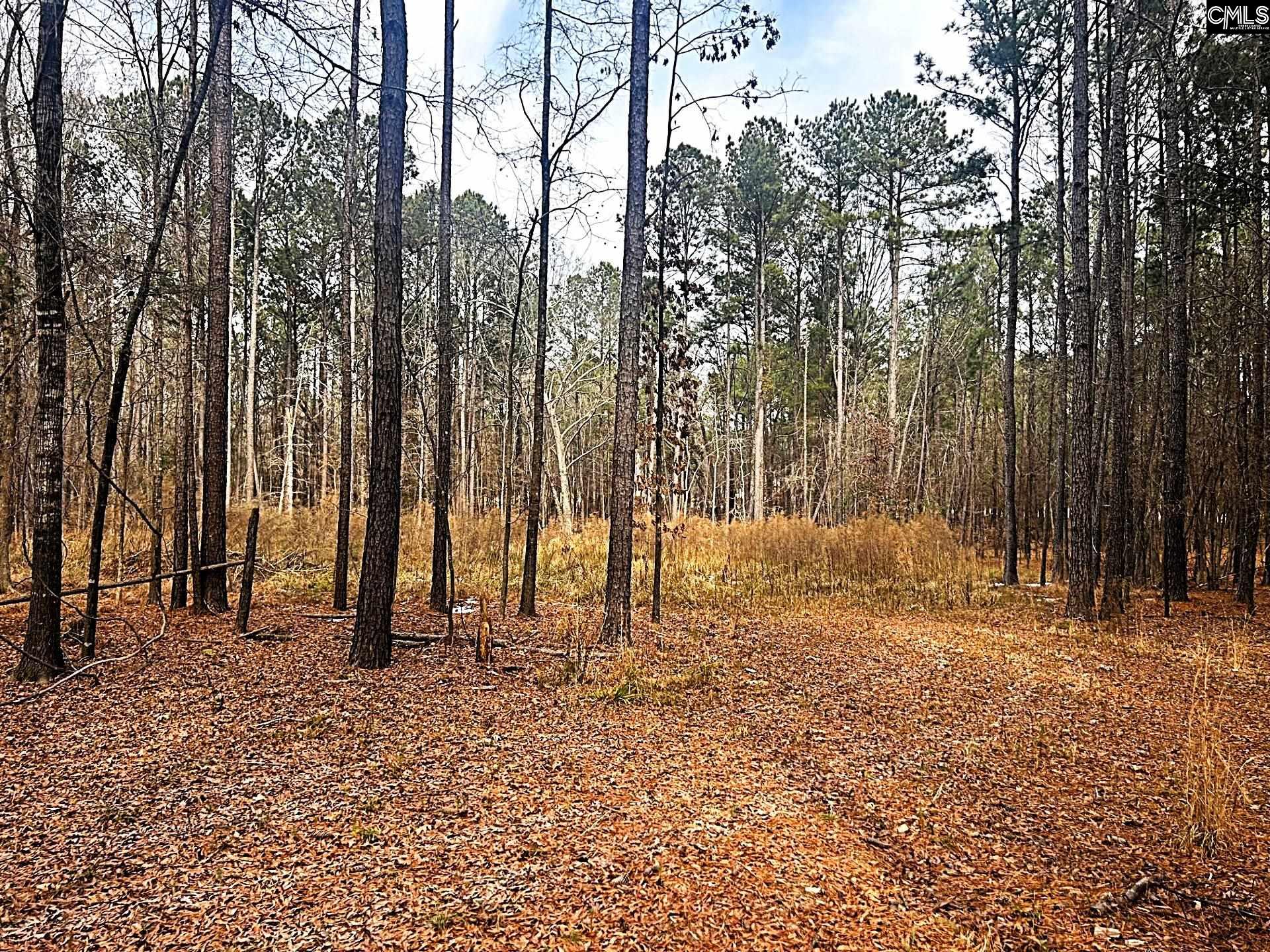 0 Circle H Woods Road Prosperity, SC 29127 - Photo 11 of 21