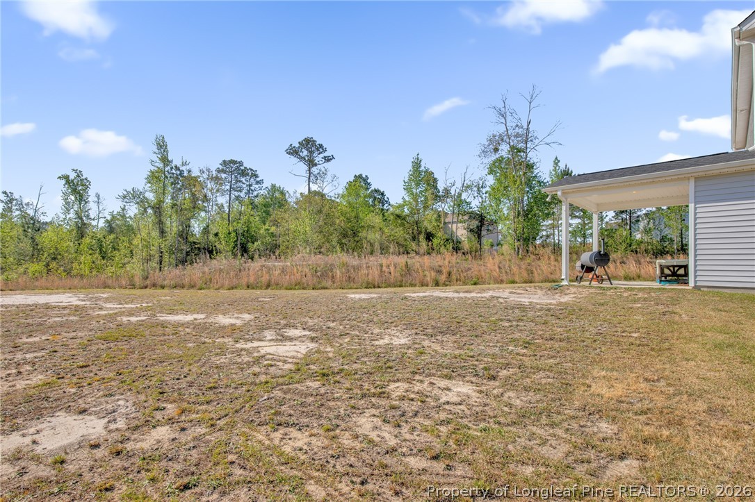 44 Princelet Point Cameron, NC 28326 - Photo 31 of 42 a backyard of a house with lots of green space