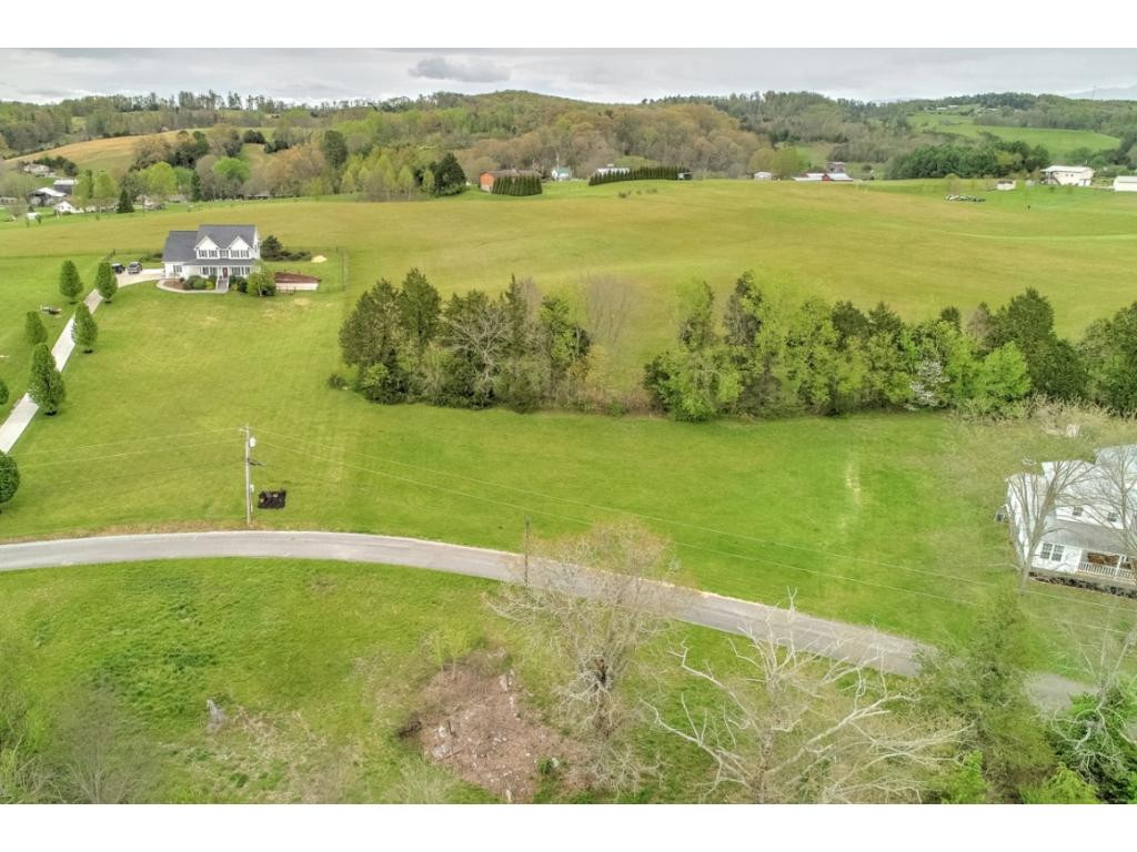 505 Calico Road Afton, TN 37616 - Photo 9 of 33 Photo 9