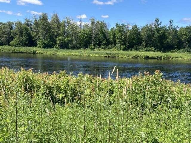 14 Washburn Road Presque Isle, ME 04769 - Photo 9 of 11 Summer Aroostook River