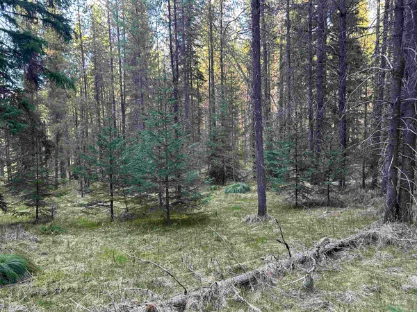 $199,900 | 162 Coopers Lane, Elk City, ID 83525