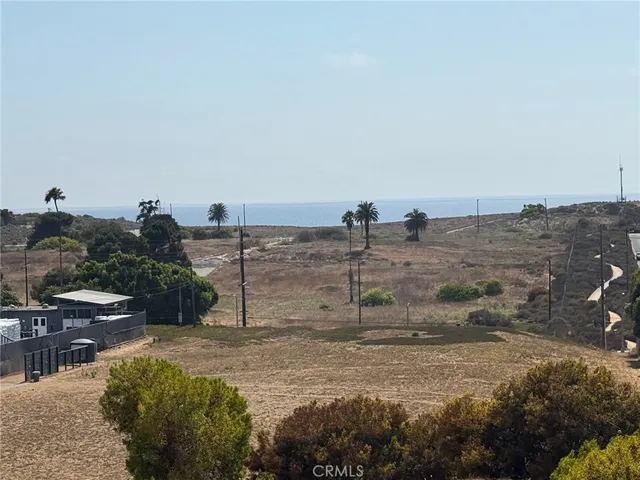 a view of a dry yard with trees
