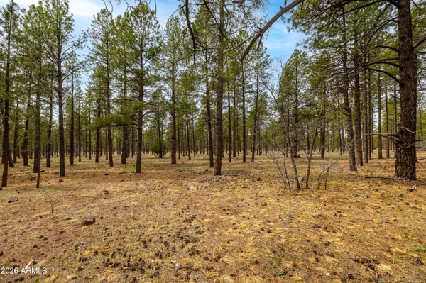 $1,100,000 | 3620 South Cheryl Drive, Flagstaff, AZ 86005