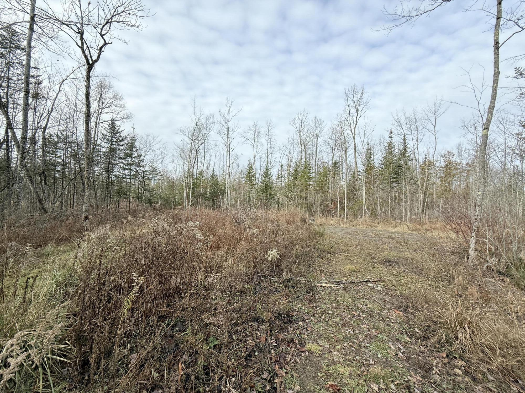 43 Whitten Road Clinton, ME 04927 - Photo 28 of 46 Cleared Lot