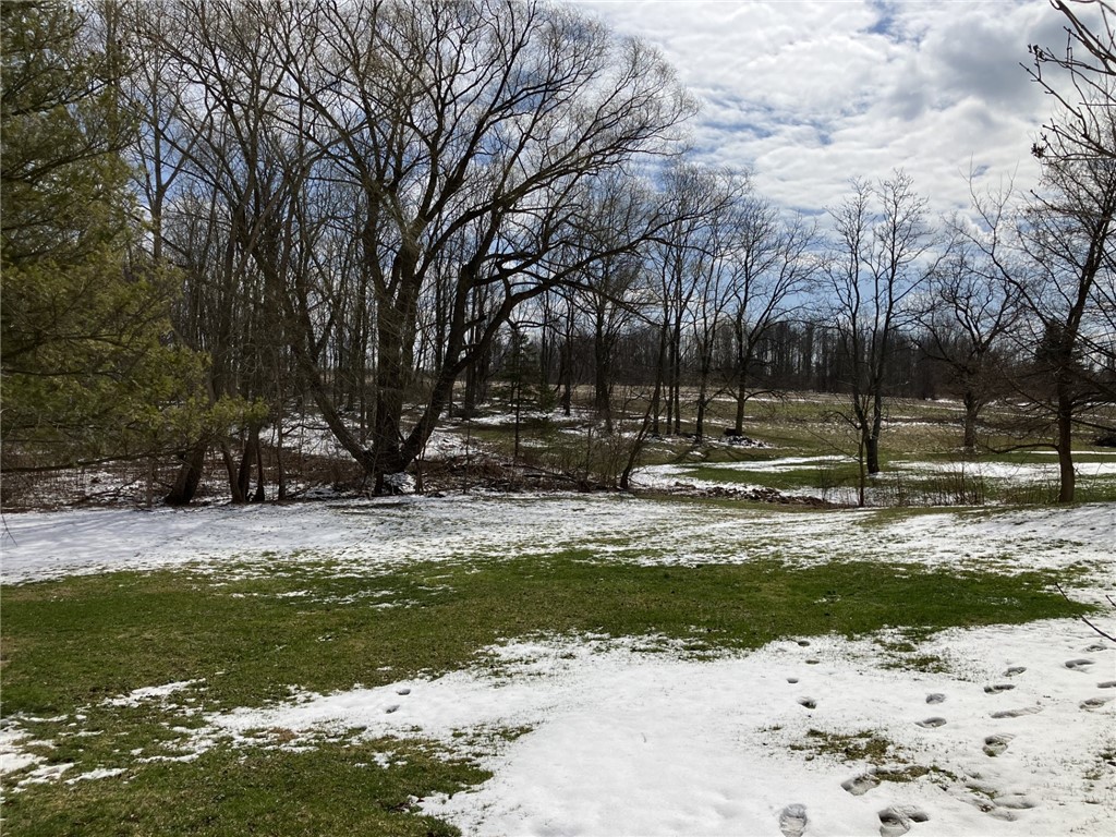 3924 West Walworth Road, Unit 1 Walworth, NY 14502 - Photo 12 of 12 private and scenic country setting