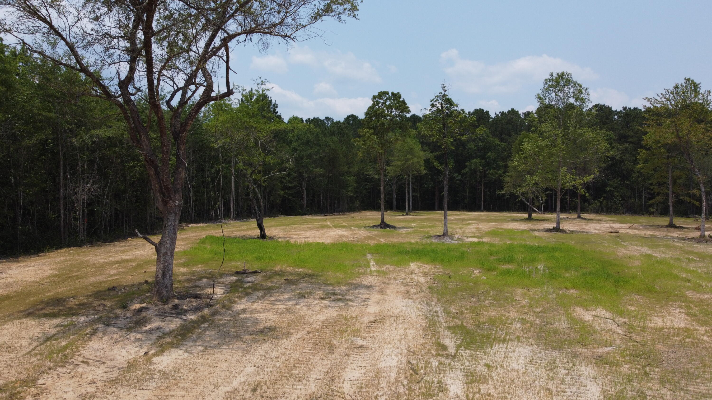 4 Steed Creek Road Huger, SC 29450 - Photo 11 of 15 DJI_0659