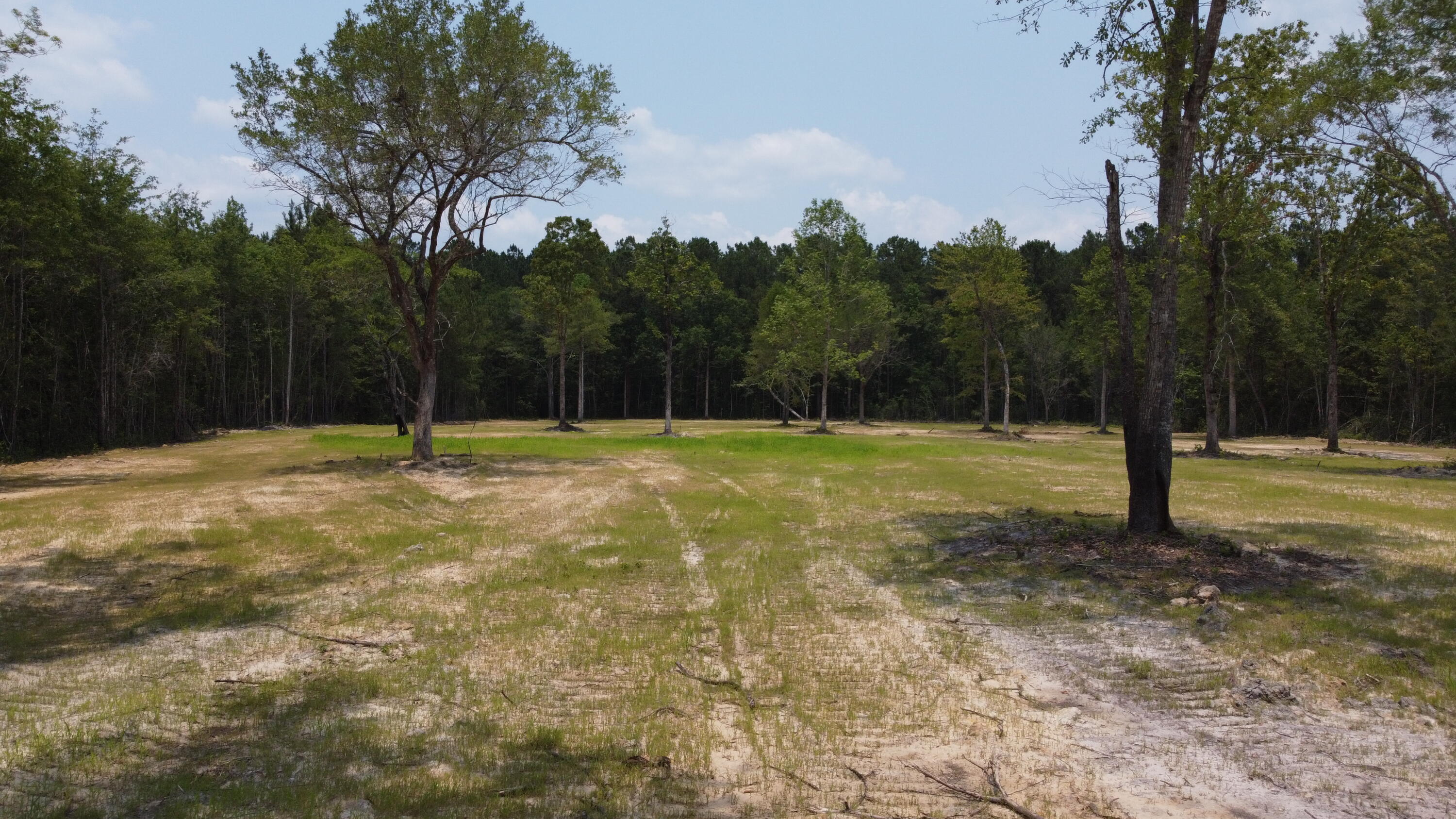 4 Steed Creek Road Huger, SC 29450 - Photo 12 of 15 DJI_0657