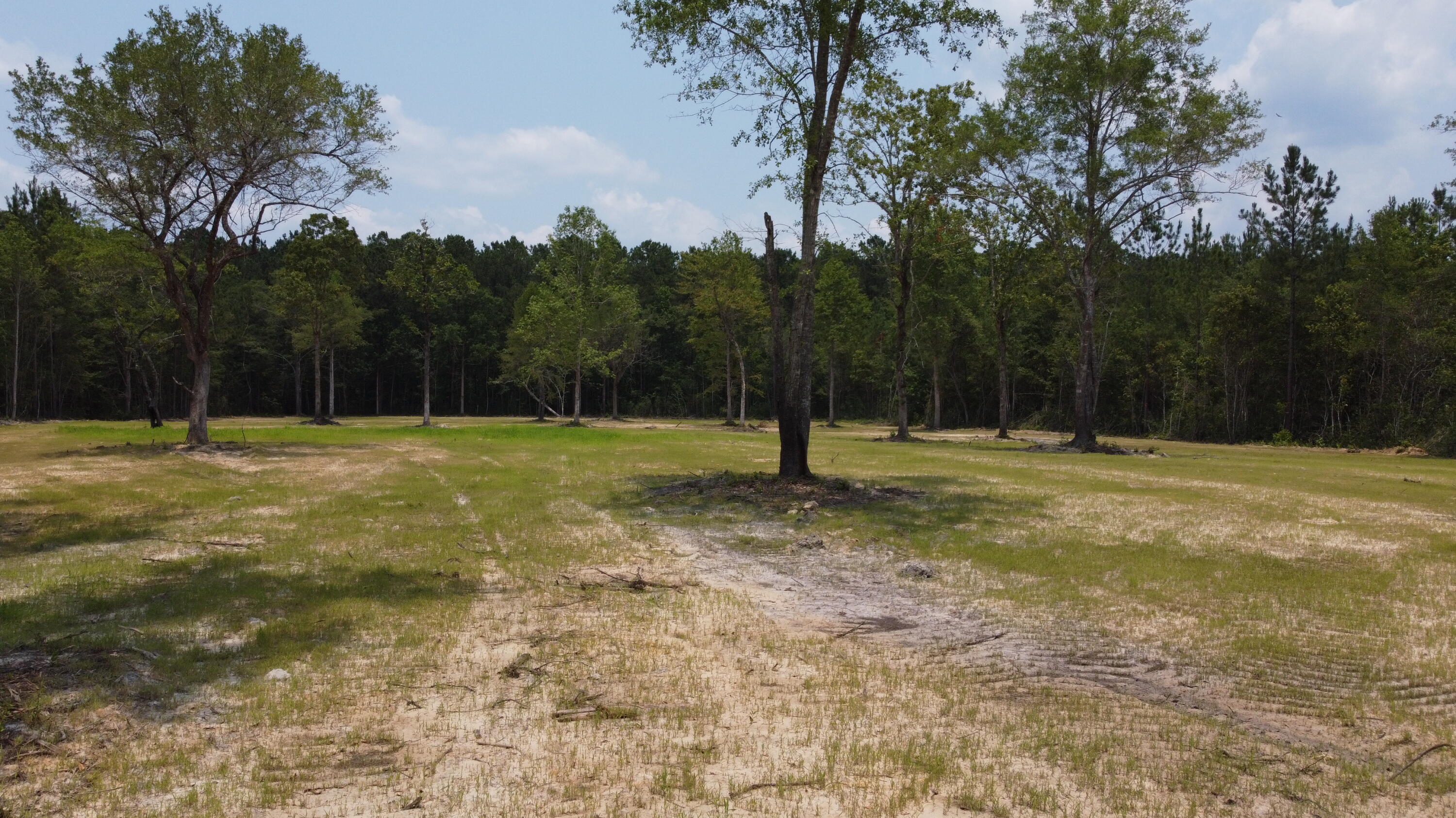 4 Steed Creek Road Huger, SC 29450 - Photo 13 of 15 DJI_0656