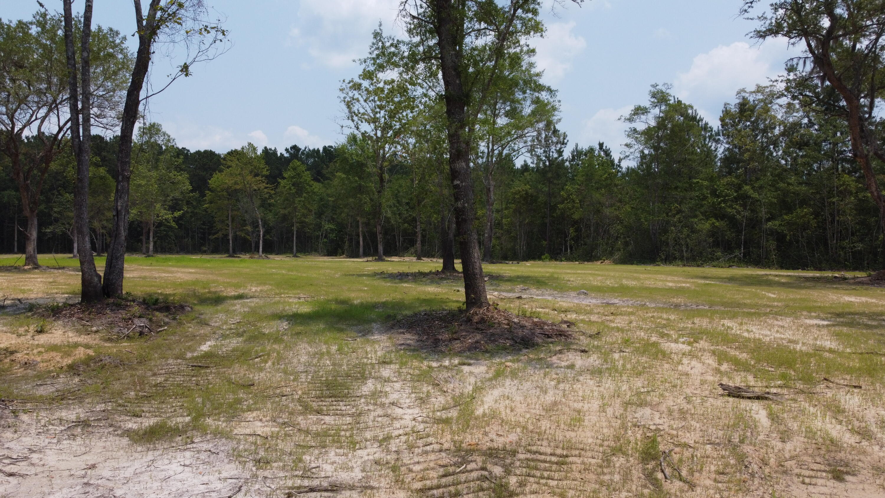 4 Steed Creek Road Huger, SC 29450 - Photo 15 of 15 DJI_0654