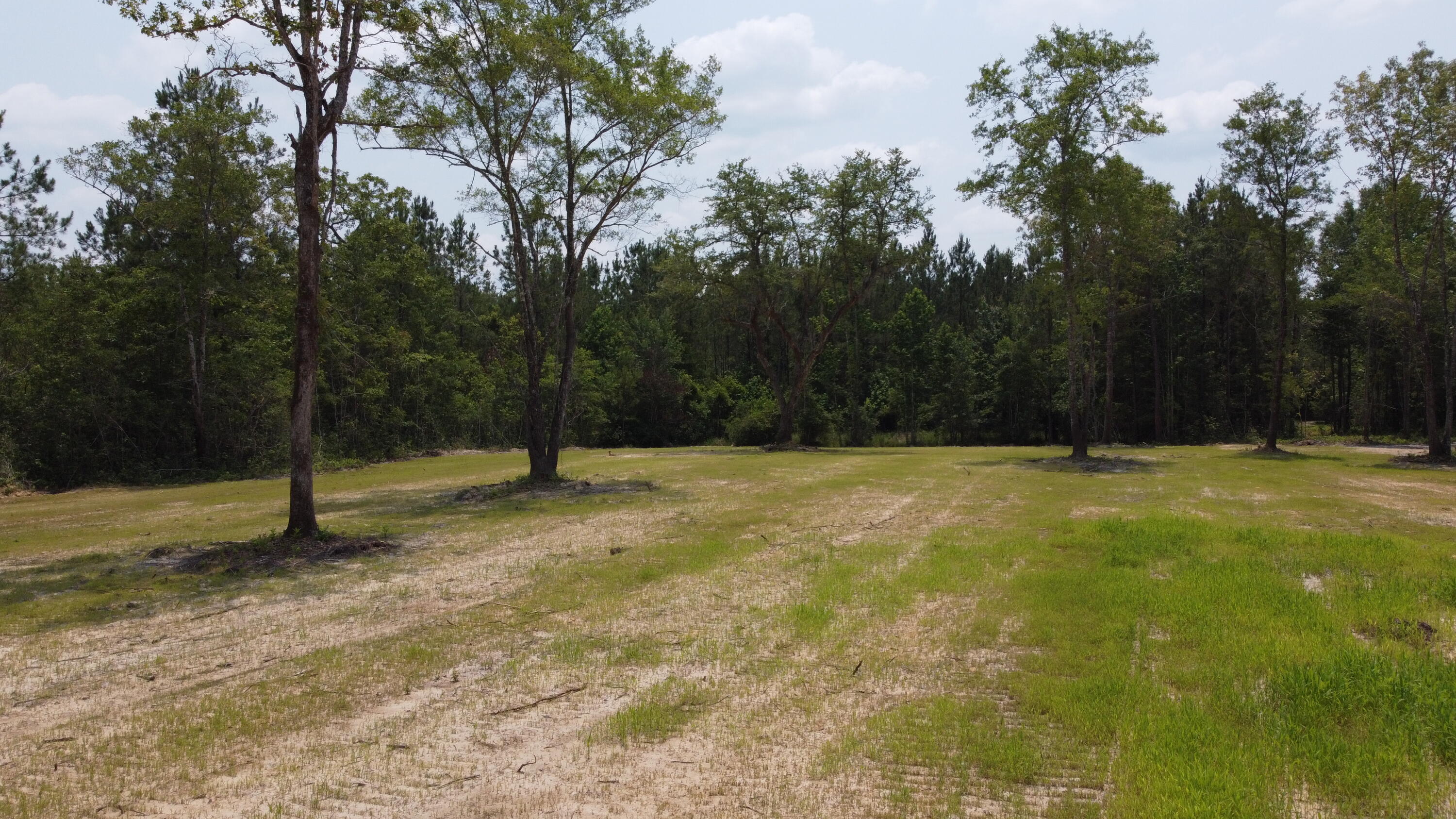 4 Steed Creek Road Huger, SC 29450 - Photo 4 of 15 DJI_0668