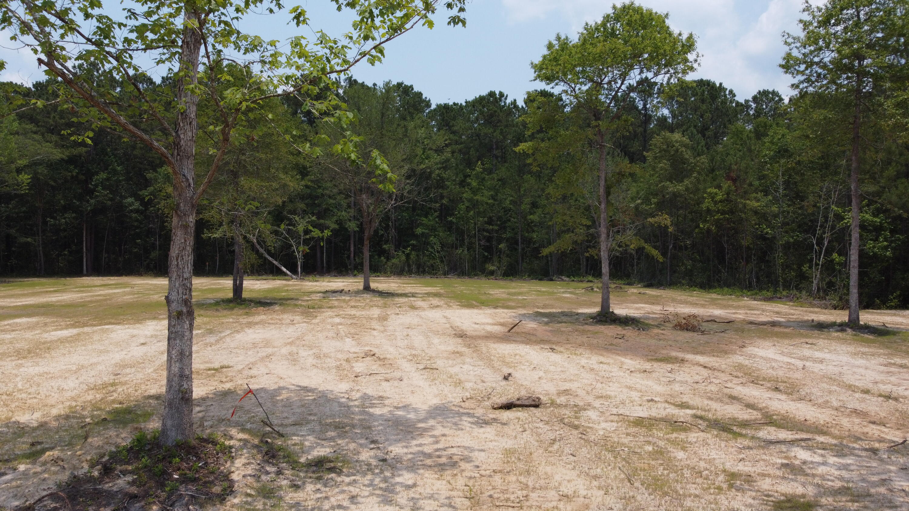 4 Steed Creek Road Huger, SC 29450 - Photo 7 of 15 DJI_0665