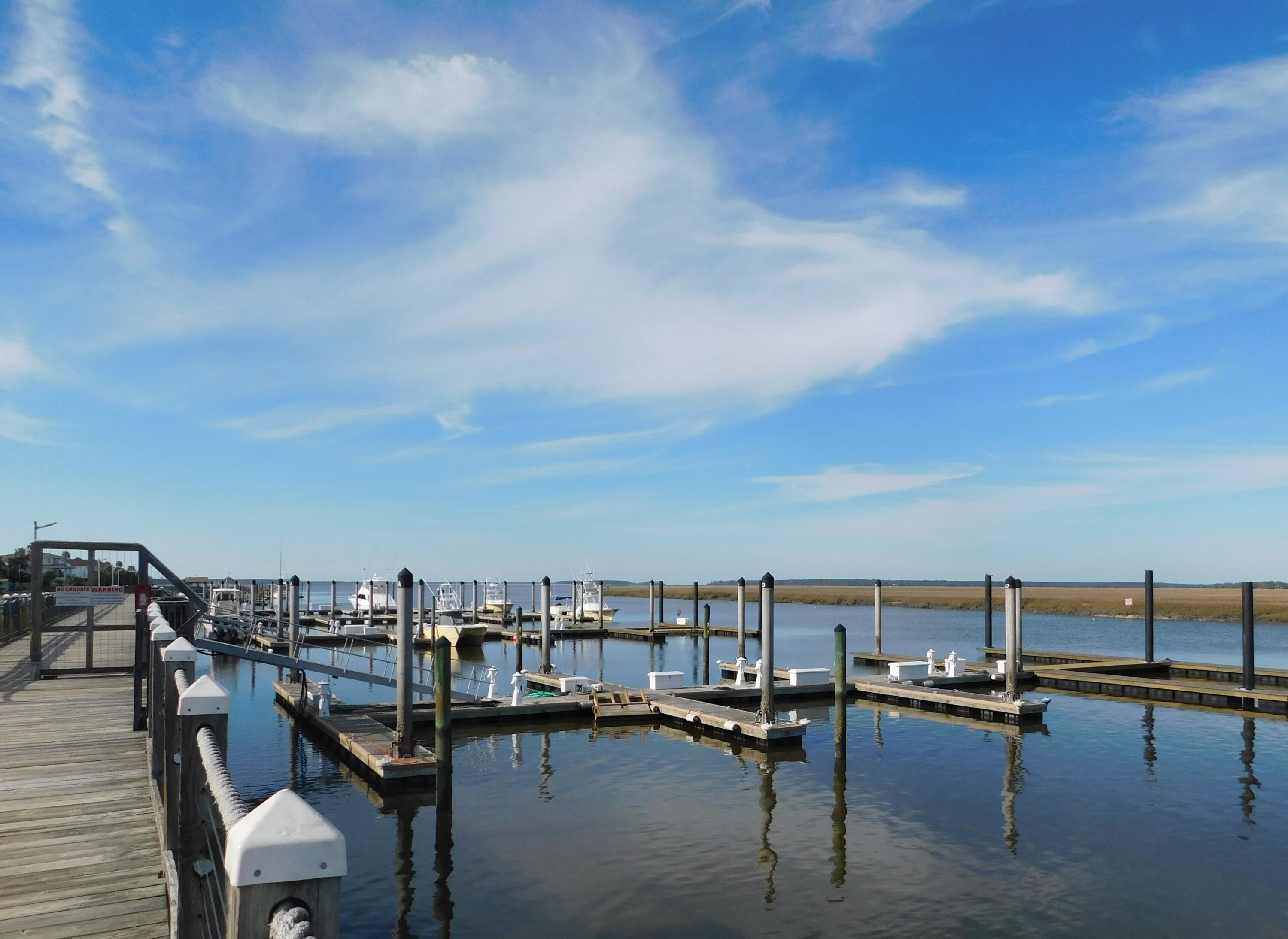 851 Club Cottage Road Edisto Island, SC 29438 - Photo 62 of 65 DSCN0415