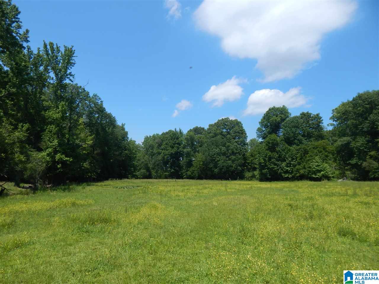417 Old Stagecoach Road Woodstock, AL 35188 - Photo 8 of 17
