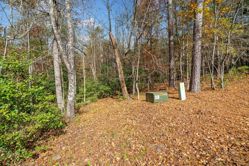 Lot 7 Highpoint Ridge Road Ellijay, GA 30536 - Photo 9 of 25 Gallery Image 9