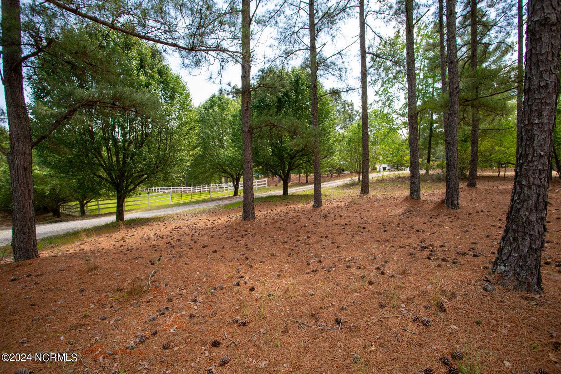 TBD Shagbark Ct-4