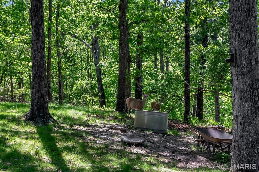 2838 Wild Ridge Drive High Ridge, MO 63049 - Photo 41 of 47