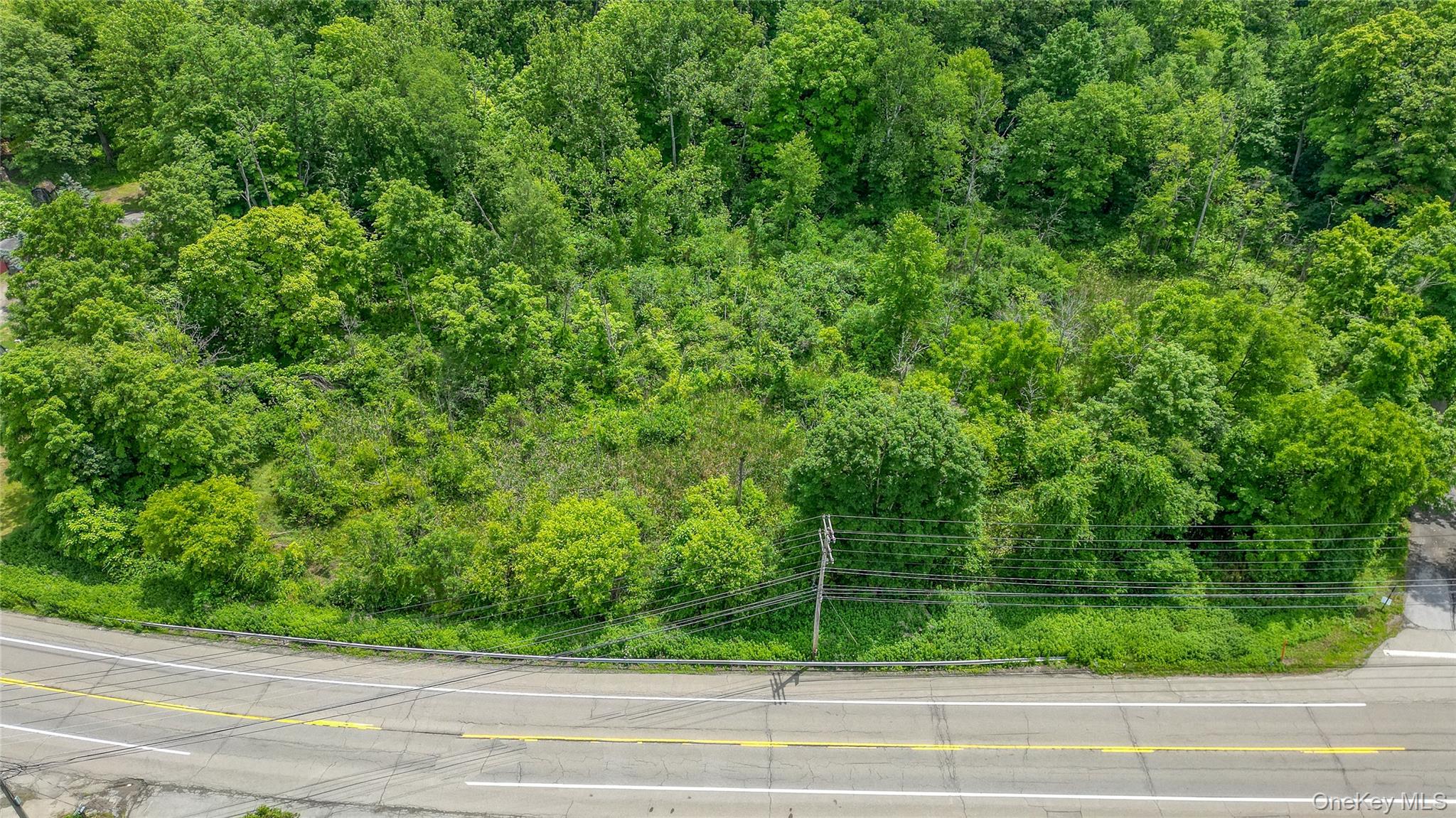 3541 Highway 9 Cold Spring, NY 10516 - Photo 5 of 10