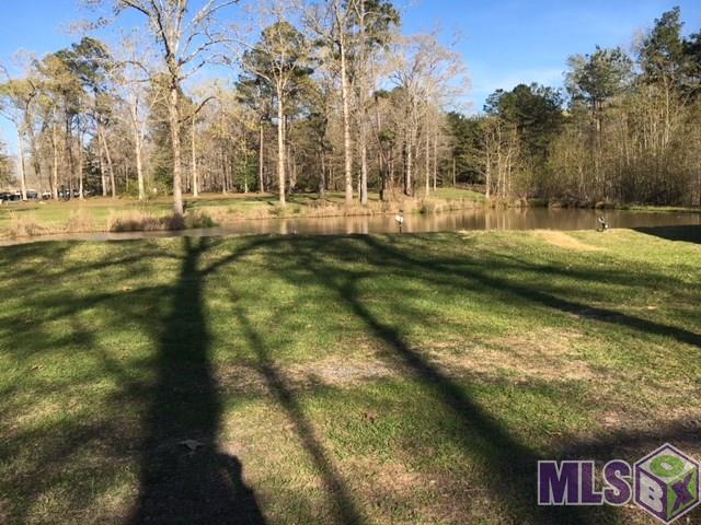 6692 Plank Road Slaughter, LA 70777 - Photo 17 of 20 Gallery Image 17