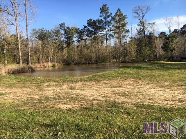 6692 Plank Road Slaughter, LA 70777 - Photo 18 of 20 Gallery Image 18