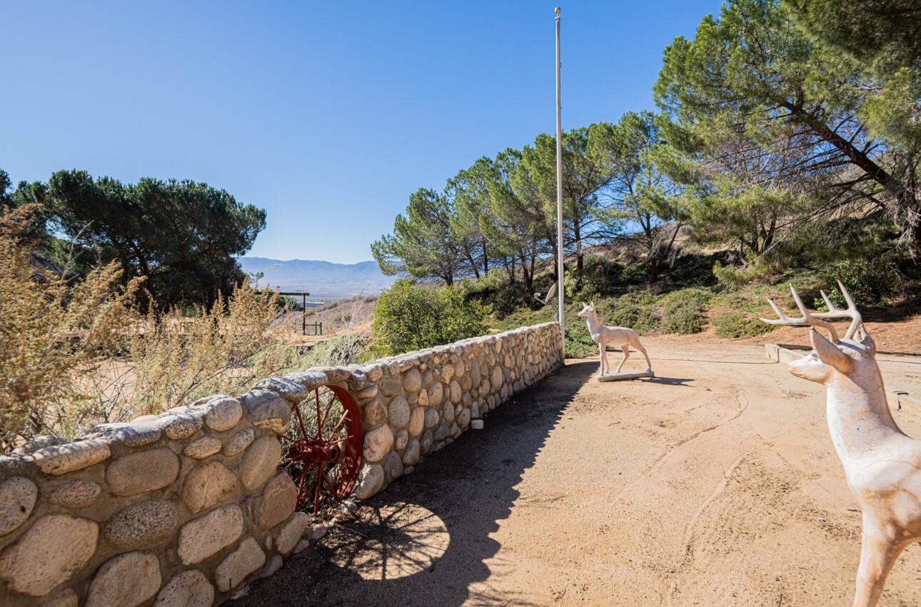 33900 Fabry Road Soledad, CA 93960 - Photo 24 of 34 a view of a yard with plants