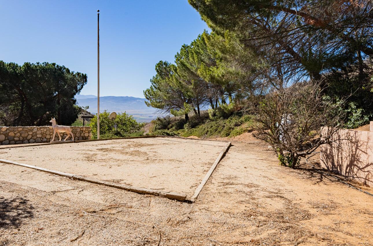 33900 Fabry Road Soledad, CA 93960 - Photo 26 of 34 a view of a yard with plants and trees
