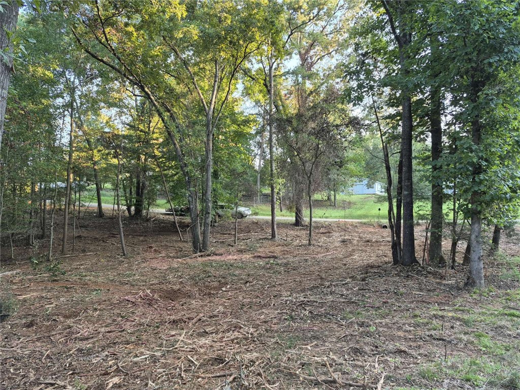 207 Turk Road Townville, SC 29689 - Photo 14 of 25 Gallery Image 14