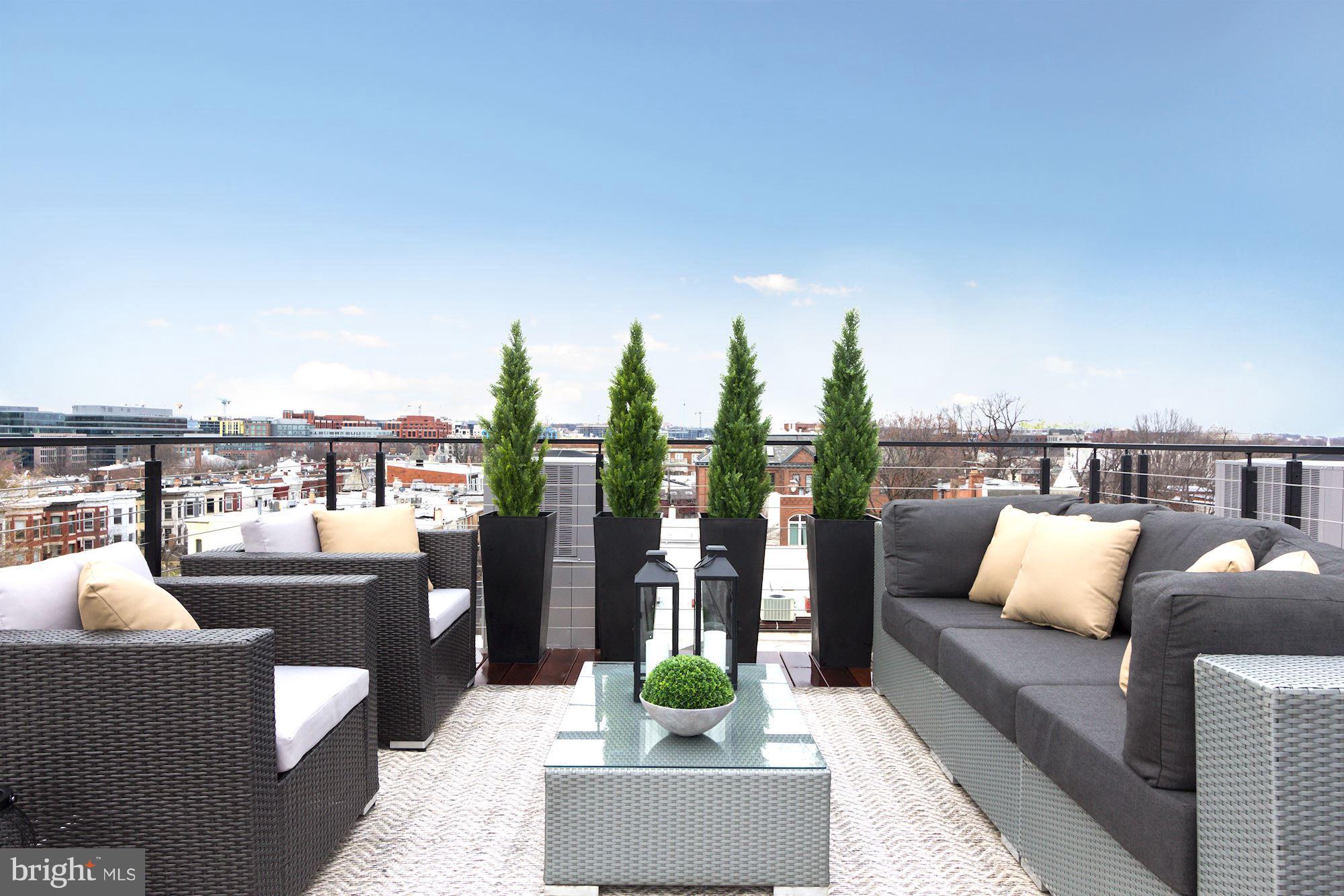 422 C Street Northeast Washington, DC 20002 - Photo 18 of 19 a living room with patio furniture and a potted plants