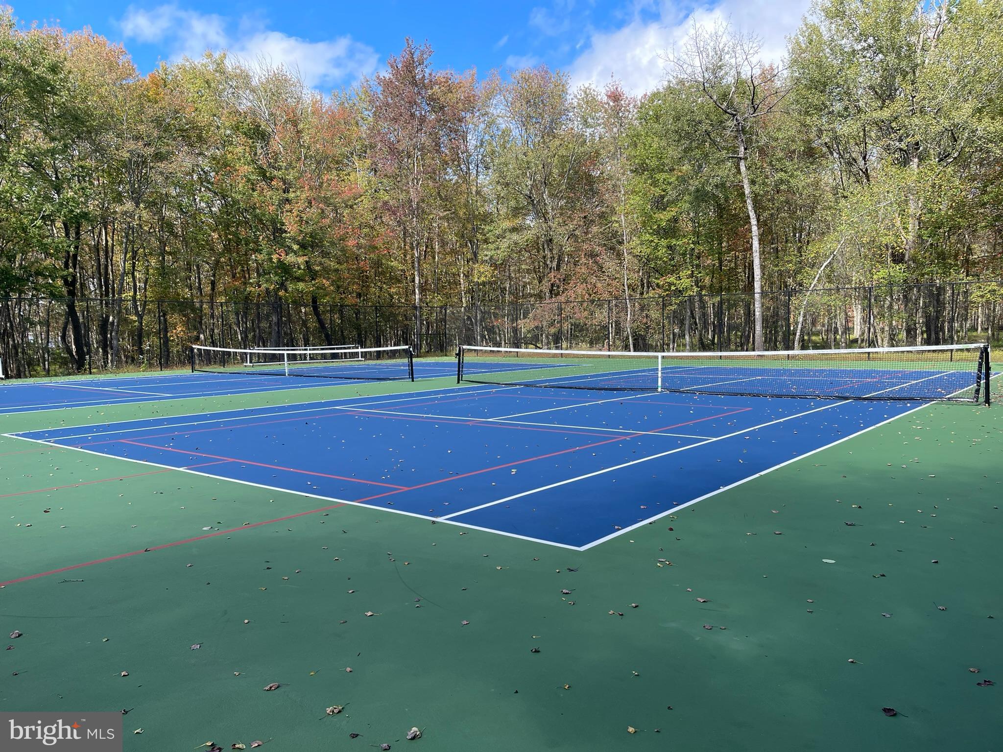 Lot 52 Blueberry Run Blakeslee, PA 18610 - Photo 12 of 13 a view of an outdoor space and tennis court