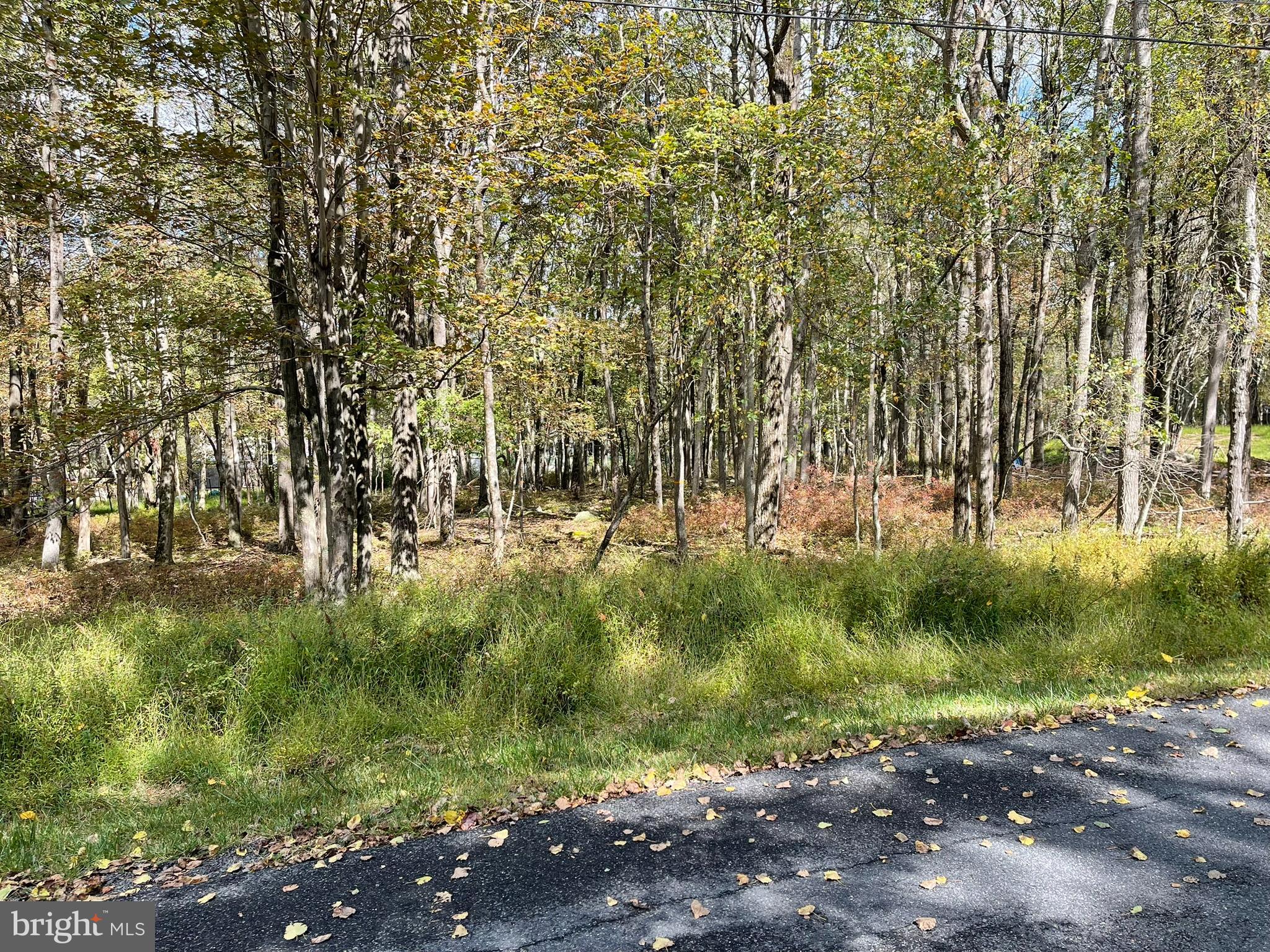 Lot 52 Blueberry Run Blakeslee, PA 18610 - Photo 2 of 13 a view of yard