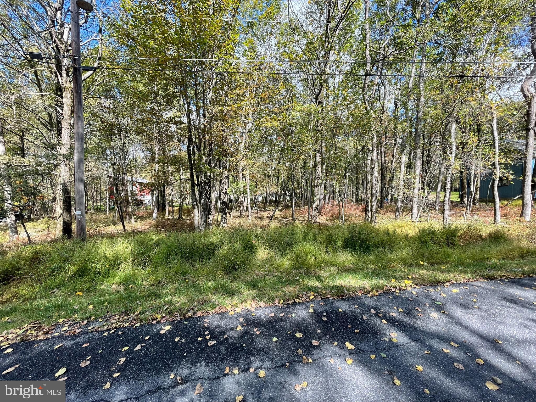 Lot 52 Blueberry Run Blakeslee, PA 18610 - Photo 3 of 13 a view of outdoor space and yard